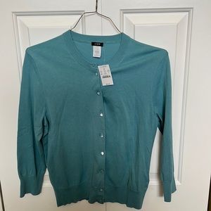 J. Crew L NWT Blue shirt